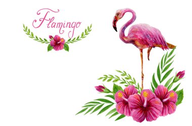 Pembe flamingo ve Çin H ile el çizilmiş suluboya boyama