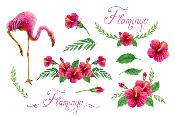 Element gesetzt. handgezeichnete Aquarelle mit rosa Flamingo, — Stockfoto