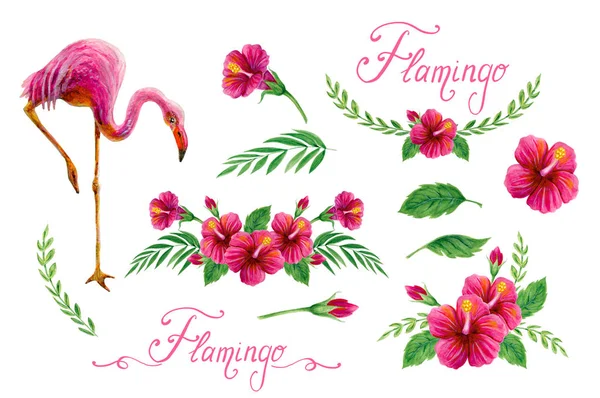 Élément réglé. Peintures à l'aquarelle dessinées à la main avec flamant rose , — Photo