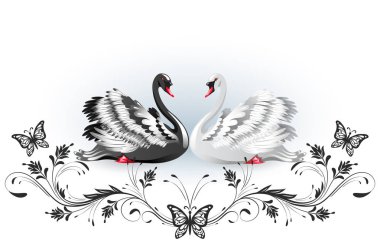 Decorative card with black and white swans and vintage ornament  clipart