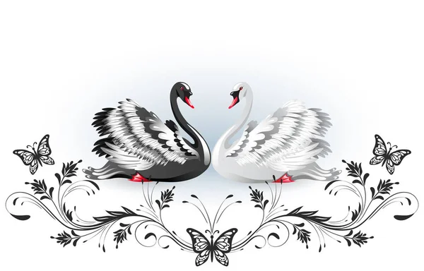 Tarjeta decorativa con cisnes en blanco y negro y adorno vintage — Vector de stock