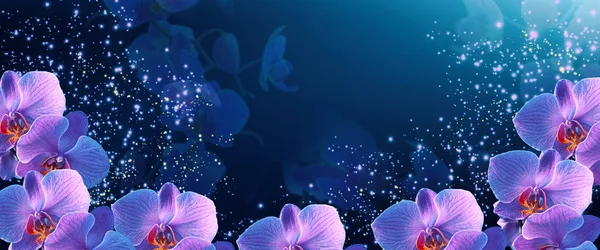 Banner de fantasia brilhante com mágica e misteriosas orquídeas de néon um — Fotografia de Stock