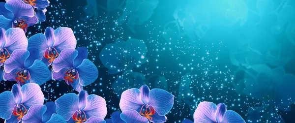 Brillante bandera de fantasía con la magia y misteriosas orquídeas de neón un — Foto de Stock