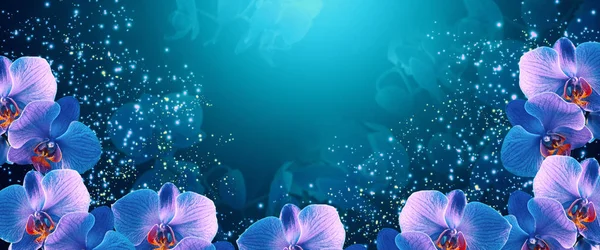 Banner de fantasia brilhante com mágica e misteriosas orquídeas de néon um — Fotografia de Stock