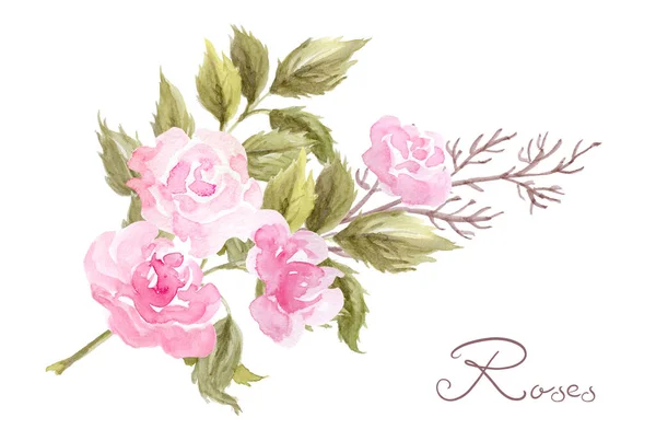 Ručně Kreslené Akvarel Malba Růžovými Růžemi Květiny Kytice Izolované Bílém — Stock fotografie