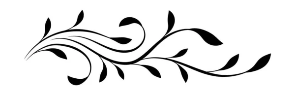 Ornamento Floral Decorativo Isolado Fundo Branco — Vetor de Stock