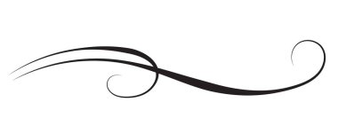 Yapraklarla ve soyut çizgilerle süslenmiş çiçek dalları. Metin ayırıcı. Dekor ve metin karşılama veya davetiye kartı tasarımı için zarif dekoratif öge.