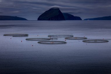 Balık Faroe Island'da yetiştiriciliği