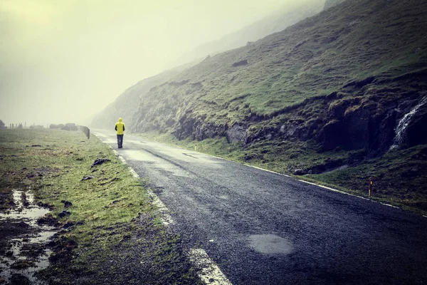 Одинокий Человек Желтом Плаще Прогулка Фарерским Островам — стоковое фото