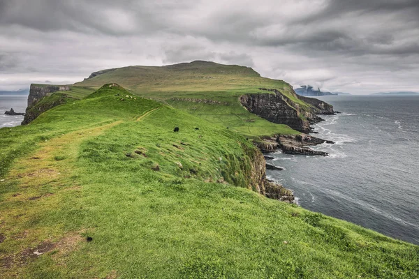 Camino Mykines Las Islas Faroe —  Fotos de Stock