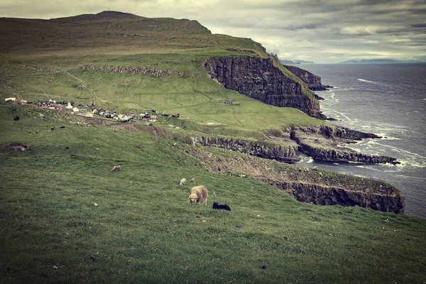 View Mykines Village Faroe Islands — Stock Photo, Image