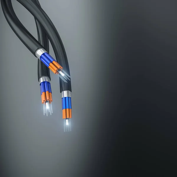 Renderizado Cable Fibra Óptica — Foto de Stock