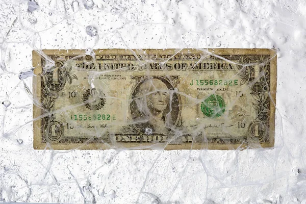 Dolar w lodzie — Zdjęcie stockowe
