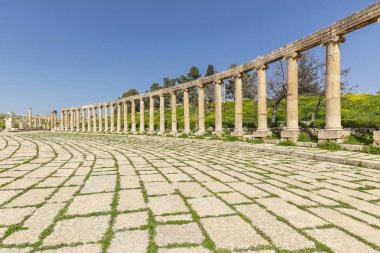 Amman'daki Roma sütunları