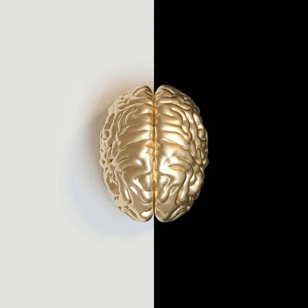 3d render image of a gold-colored human brain on a white and bla — Stock Photo, Image