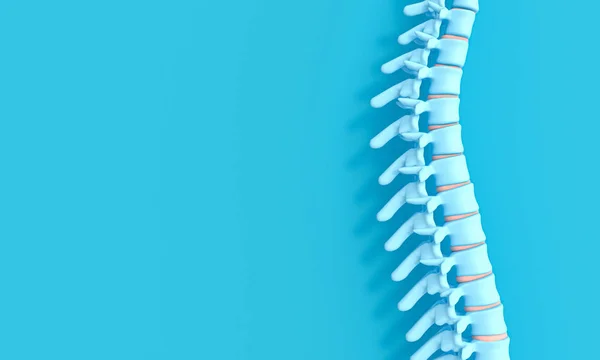 Imagem de renderização 3d de uma coluna vertebral em um fundo azul . — Fotografia de Stock