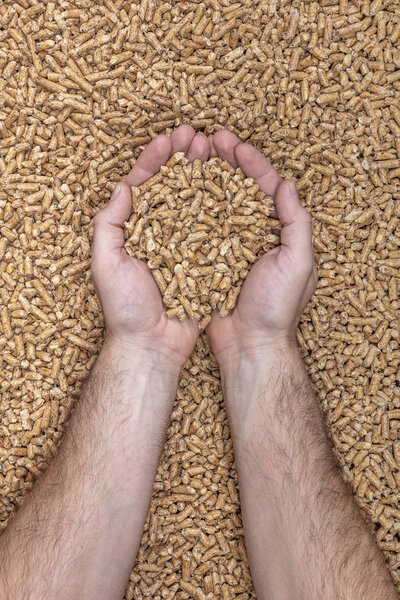 clasped hands contain natural wood pellets