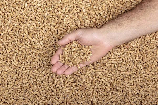 Detail einer Hand, die Holzpellets enthält — Stockfoto