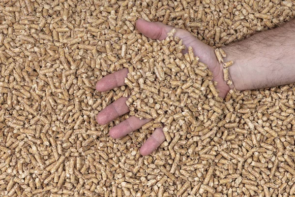 Open hand and natural wood pellets. — Stock Photo, Image