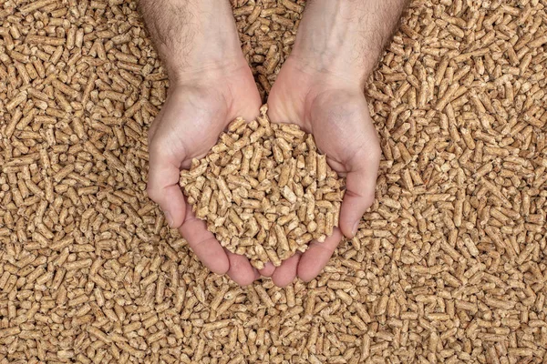 Hands showing wood pellets background — Stock Photo, Image