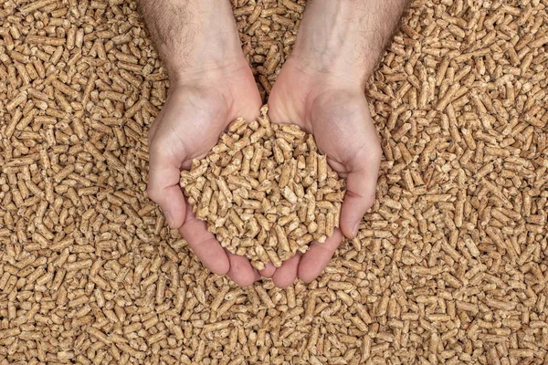 Manos que muestran pellets de madera de fondo —  Fotos de Stock