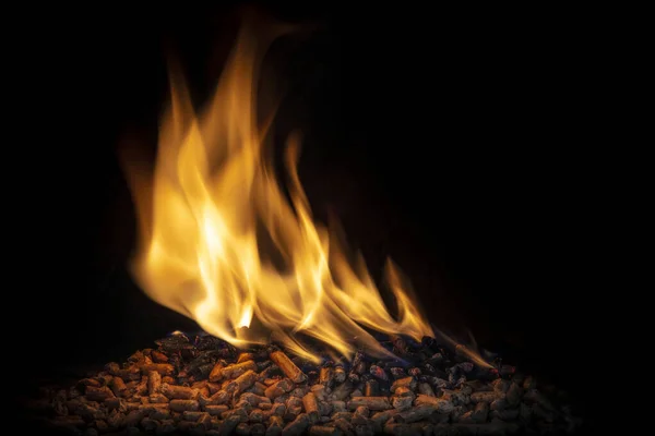 木のペレットを燃焼させ炎を生き — ストック写真