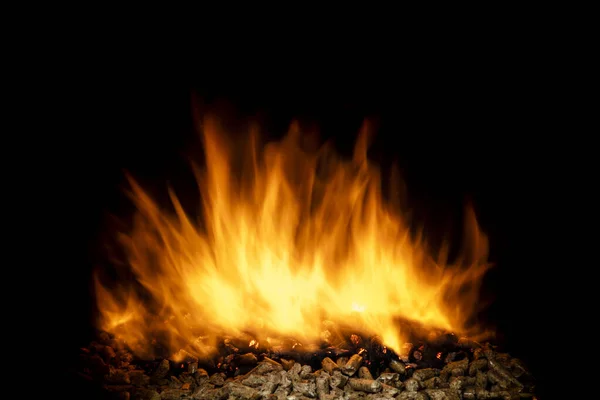 Holzpellets verbrennen, lebendige Flamme — Stockfoto