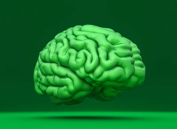 单色背景的绿色大脑 生态思维概念 3D渲染 周围没有人 — 图库照片