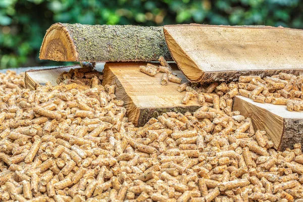 Tree Trunks Wood Pellets Biomass Fuel — Stock Photo, Image