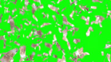 Falling euro banknotes on green screen background