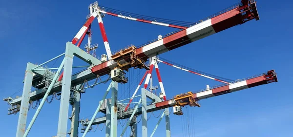 Grote Kranen Voor Het Laden Van Containers Schepen — Stockfoto