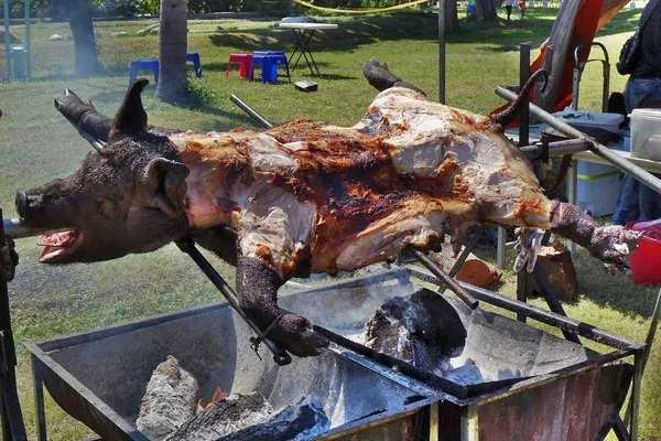 Barbacoa Tradicional Cerdo Pelo Negro Taiwán — Foto de Stock