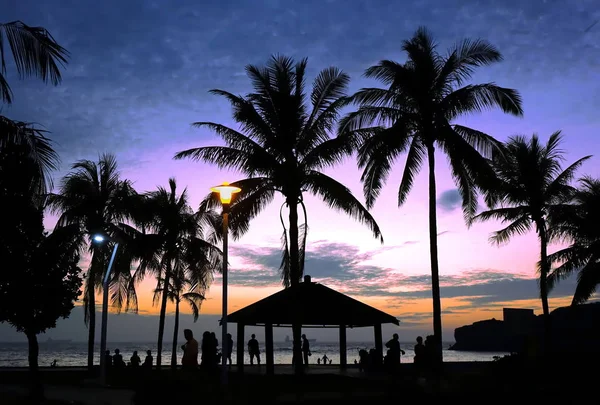 Tropical Beach Scene Palm Trees Dusk People Silhouettes — Stock Photo, Image
