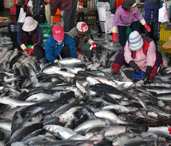 2019 シンダ 魚市場の労働者は ボラ魚から卵を抽出します 卵を乾燥 押されて — ストック写真