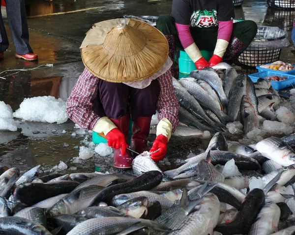 Kaohsiung Taiwan Enero 2019 Los Trabajadores Del Mercado Pescado Sinda — Foto de Stock