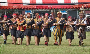 Tayvan Rukai Halk Hasat Festivali