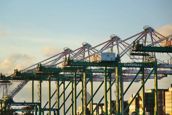 Kaohsiung Taiwan June 2019 Containers Being Loaded Ships Kaohsiung Port — Stock Photo, Image