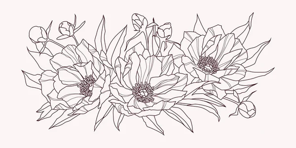 Samenstelling Van Roze Pioen Bloemen Contour Tekening Vectorillustratie — Stockvector