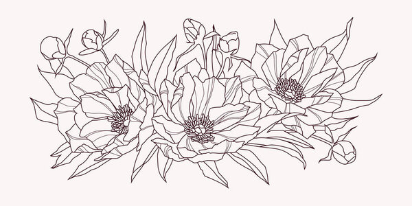 Composition of pink peony flowers. Contour drawing. Vector illustration
