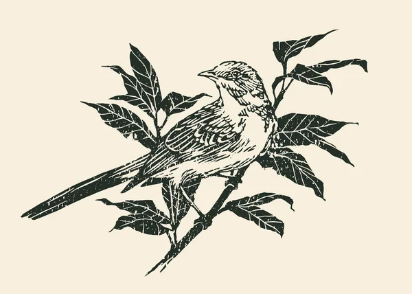 Bird Branch Grabado Linocut Style Ilustración Vectorial — Vector de stock