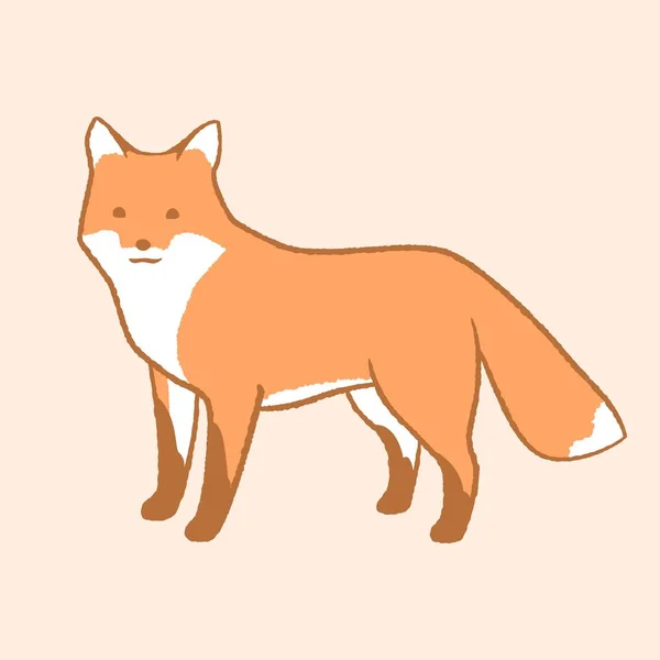 Cute cartoon Fox. Fox stands and looks forward — Stock Vector