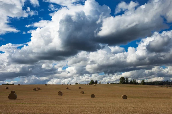 Dry Straw Rolls Countryside Landscape — Stock Photo, Image