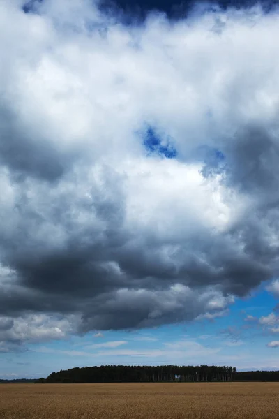 Cielo Nuvoloso Sul Campo Agricolo Estate — Foto Stock