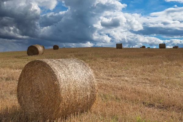 Dry Straw Rolls Countryside Landscape — Stock Photo, Image