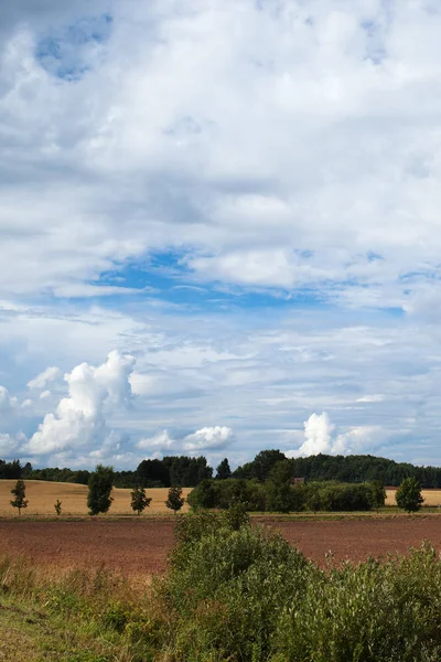 夏季多云天空在农业领域 — 图库照片