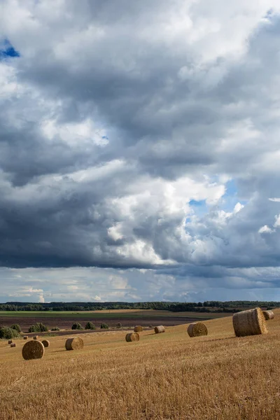 Rouleaux Paille Secs Dans Paysage Rural — Photo