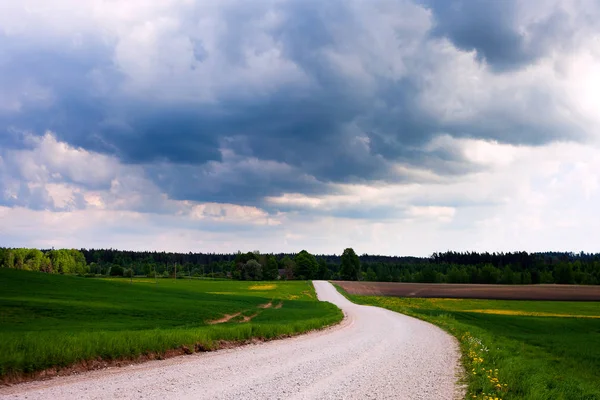 Onverharde Weg Bewolkte Dag Zomer — Stockfoto