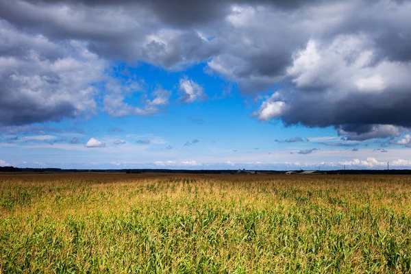 Хмарне Небо Над Сільськогосподарським Полем Влітку — стокове фото