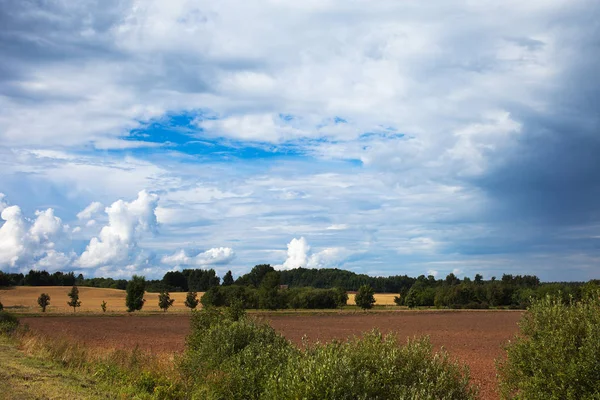 Cloudy Sky Agricultural Field Summer — Stock Photo, Image