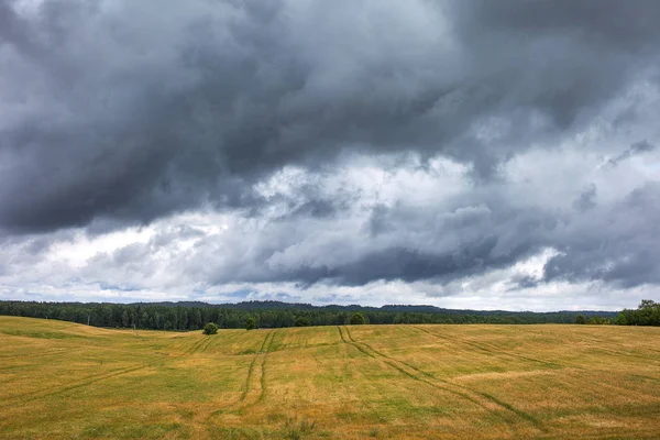 ラトビア 田舎の曇った夏の午後 — ストック写真